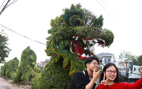 Bất ngờ diện mạo mới của cặp rồng xanh ở Vinh sau 'thẩm mỹ'