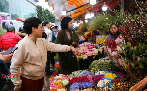 Chợ hoa Quảng An tấp nập ngày giáp Tết