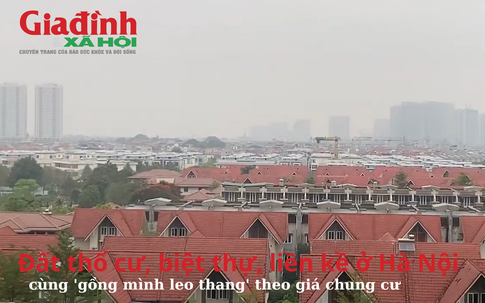 Vì sao đất thổ cư, biệt thự, liền kề ở Hà Nội cùng 'gồng mình leo thang' theo giá chung cư? 