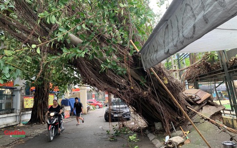 Cảnh 'ngổn ngang' trên đường phố Hà Nội sau trận mưa lớn