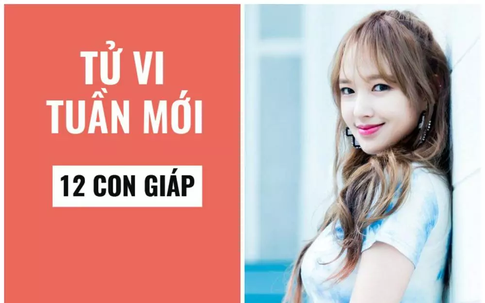 Dự báo tử vi tuần mới tới 5/5/2024 chi tiết về sự nghiệp, tài lộc và tình cảm của các tuổi Tý, Sửu, Dần, Mão, Thìn, Mùi, Thân, Tuất, Hợi