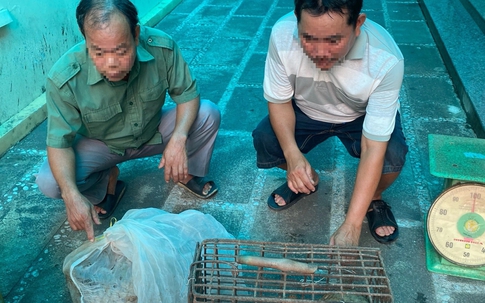 Bắt hai đối tượng mua bán trái phép động vật quý hiếm