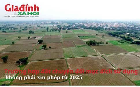 Trường hợp đất chuyển đổi mục đích sử dụng không phải xin phép từ 2025