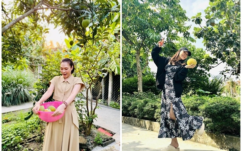 Mỹ Tâm khoe cây xoài khá đặc biệt, để lộ không gian đẹp bên hồ trong nhà vườn