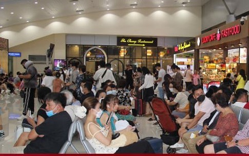 Giá vé máy bay giảm gần 50%, khách háo hức tìm tour du lịch trong nước