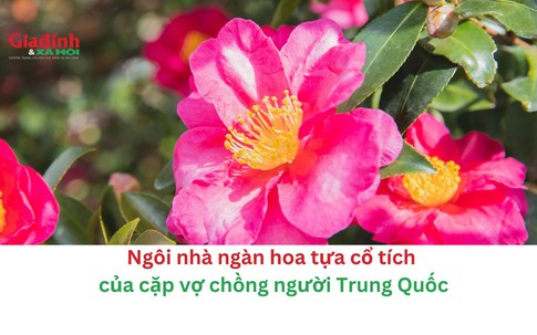 Ngôi nhà ngàn hoa tựa cổ tích của cặp vợ chồng người Trung Quốc