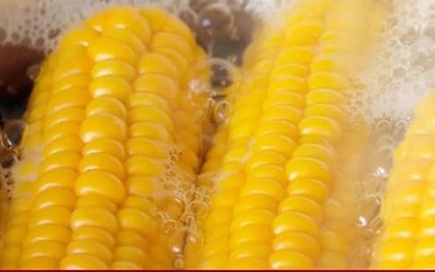 Luộc ngô nhớ cho chút bột này, ngô sẽ ngọt và dẻo thơm đặc biệt