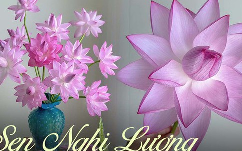 Loại sen rực rỡ được các chị em săn đón, cực khó chiều vì "không tự nở" nhưng biết cách cắm thì ai cũng mê