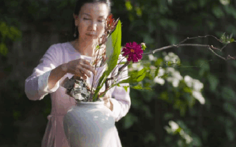 Làng hưu trí dành cho phụ nữ ở ngoại ô: Mọi người đều có thể tự nuôi sống bản thân