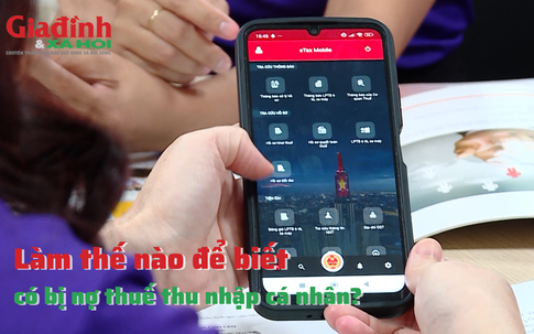 Làm thế nào để biết có bị nợ thuế thu nhập cá nhân?