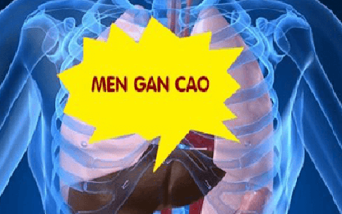 6 triệu chứng tăng men gan thường gặp