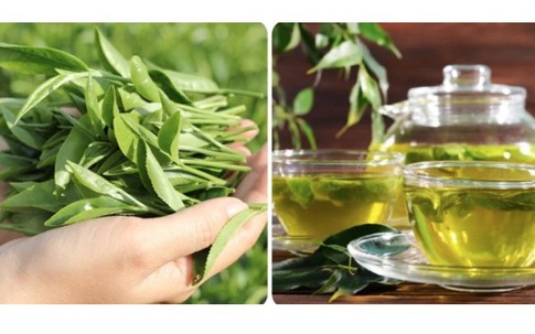 Loại lá rẻ tiền bán đầy chợ Việt, người bệnh tiểu đường nên uống thường xuyên để kéo dài tuổi thọ