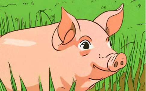 Có quý nhân tương trợ, 5 con giáp này cải vận, nghèo trước giàu sau