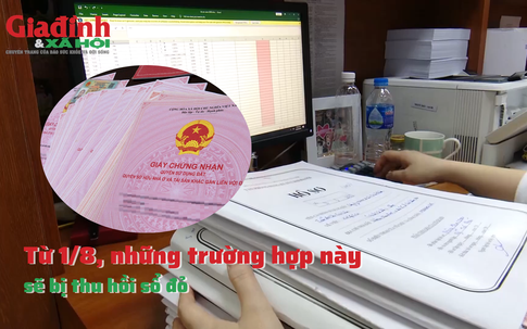 Từ 1/8, những trường hợp này sẽ bị thu hồi sổ đỏ