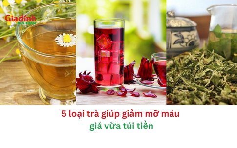 5 loại trà giúp giảm mỡ máu giá vừa túi tiền