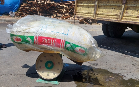 Bắt gọn gần 650 kg mỡ động vật bẩn, hôi thối, tiểu thương vẫn cố tình tiêu thụ