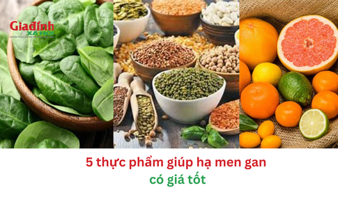 5 thực phẩm giúp hạ men gan có giá tốt