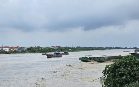 Cấm tàu thuyền lưu thông qua 7 cầu tại Hải Dương, Hải Phòng, Quảng Ninh