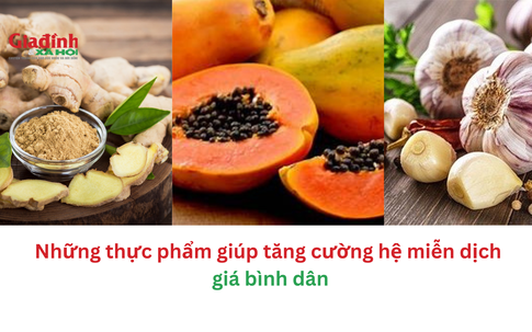 Những thực phẩm giúp tăng cường hệ miễn dịch giá bình dân