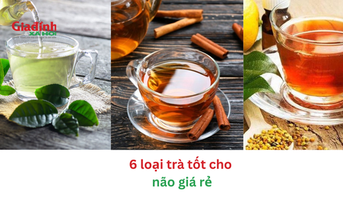 6 loại trà tốt cho não giá rẻ