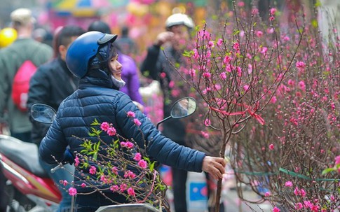 Tin tối 16/1: Hà Nội đón không khí lạnh, trời rét nhất 9 độ; Năm đầu nhận thưởng Tết theo Nghị định 73, giáo viên được hưởng bao nhiêu tiền?