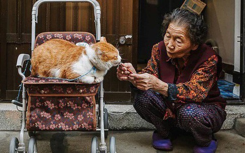 4 'quy luật nhân quả' trong giáo dục con giúp bạn biết trước được tuổi già thảnh thơi hay cô đơn