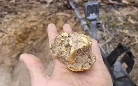 Đi đào gốc cây, người đàn ông bỗng nhặt được kho báu hơn 2 tỷ đồng