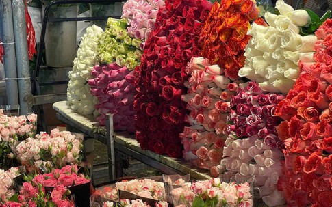 Chợ hoa lớn nhất Hà Nội cận 20/10: Tiểu thương gần như không có thời gian ngủ