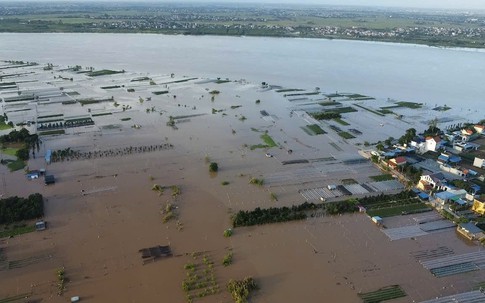 Biển nước nhấn chìm làng hoa Thiên Trường - Ninh Bình: Người dân vớt vát trong 'vô vọng'