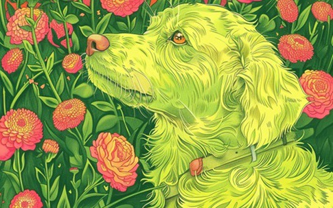 Tuần mới sau ngày 20/10 đầy thay đổi với các con giáp Tý, Dần, Mão, Thìn, Tỵ, Ngọ, Thân, Tuất