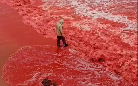 Sau trận mưa kỳ lạ, bãi biển bất ngờ nhuộm đỏ như máu, cơ quan lữ hành nói: Liên quan tới tên gọi nơi này
