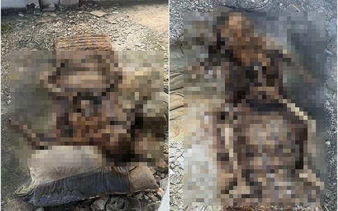 Điện thoại đánh mất bỗng được trả lại, chủ nhân rụng rời khi thấy loạt ảnh kỳ quái bên trong