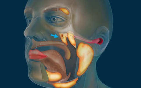 Phát hiện cơ quan mới “ẩn mình” suốt hàng thế kỷ trong thân người, giới khoa học sững sờ vì lý do khó tin