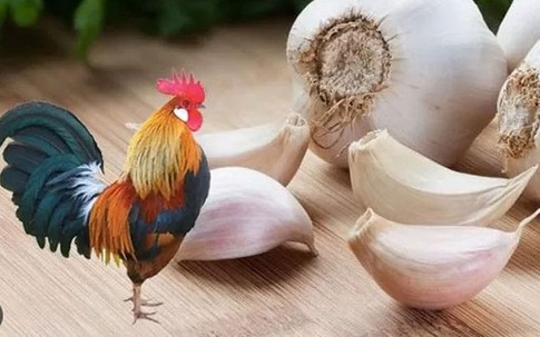 Công dụng bất ngờ của vỏ tỏi trong cuộc sống hàng ngày, ai biết rồi liền vội đi gom vỏ tỏi