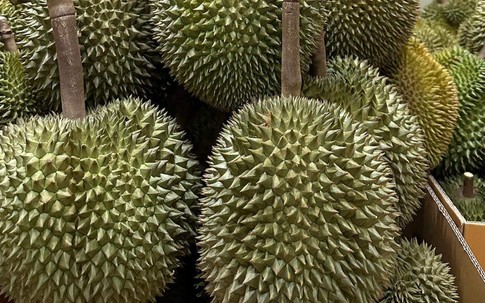 Sầu riêng Việt Nam xuất khẩu kỷ lục, nhập khẩu vẫn tăng gấp 16 lần