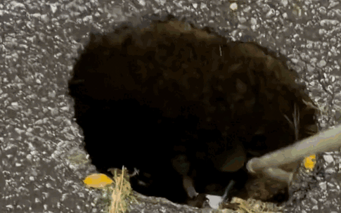 Hà Nội: Xuất hiện hố sụt lớn trên đường Trần Hưng Đạo