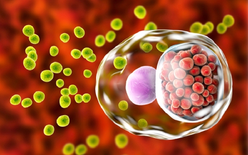 Thanh niên 22 tuổi ở Hà Nội đau họng kéo dài, đi khám mới thừa nhận một sai lầm trong chuyện 'thầm kín'