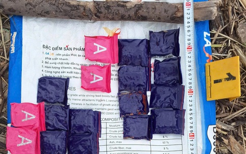 Liên tiếp phát hiện viên nén nghi ma túy trôi dạt vào bờ biển Quảng Trị