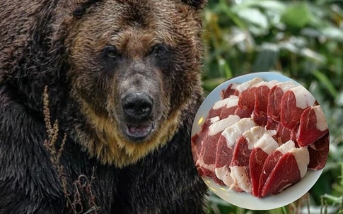 Nhà hàng Nhật kín chỗ nhờ món thịt gấu