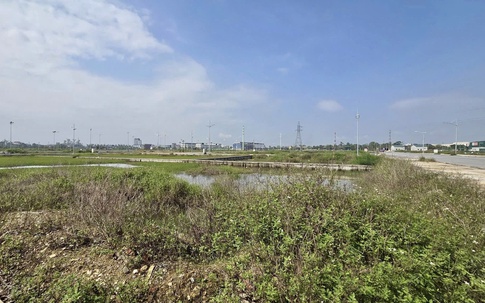 ‘Choáng’ với lô đất cấp xã đưa ra đấu giá khởi điểm hơn 12 tỷ đồng ở Nghệ An 