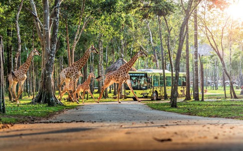 Chọn Vinhomes Green Paradise, cha mẹ trao cho con một tuổi thơ vô giá