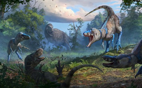 Loài quái vật chưa từng biết lộ mặt ở "Suối Địa Ngục"