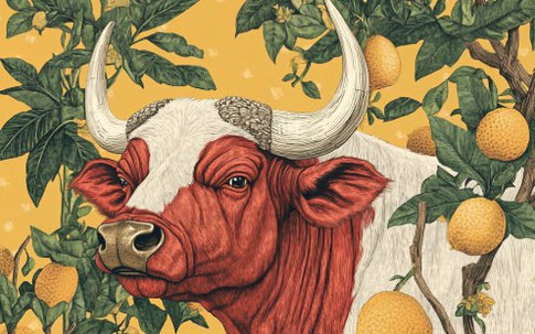 Kỷ luật thép: Chìa khóa vàng giúp 4 con giáp này vươn tới đỉnh cao danh vọng