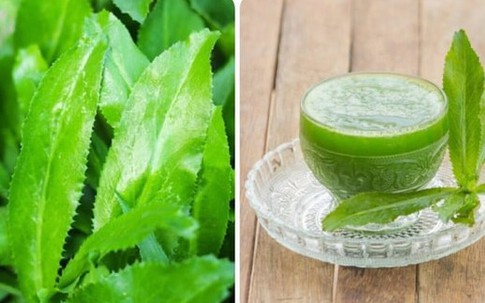 Loại rau mùa đông quen thuộc của người Việt: Bất ngờ công dụng ngừa cảm cúm, hạ mỡ máu hiệu quả