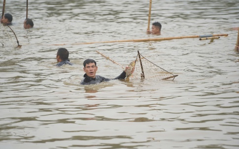 Hà Nội: Trai tráng ở Phúc Thọ hò reo bắt cá trên sông Tích Giang dưới trời lạnh