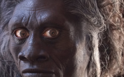Vì sao loài người từng sống song song chúng ta ở Indonesia biến mất?