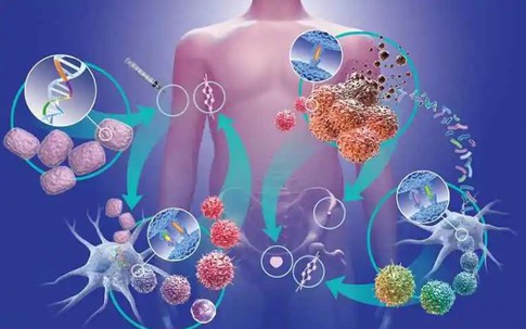 6 loại rau rẻ tiền, mùa đông người Việt nên ăn để ngăn ngừa tế bào ung thư