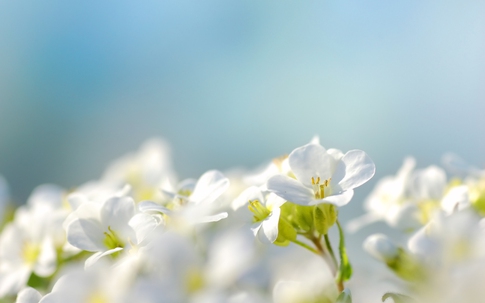 Ngày sinh Âm lịch tiết lộ số mệnh: Không sớm thành danh nhưng dễ giàu về sau