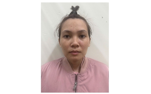 Nhập vai Việt Kiều giàu có, lừa đảo chiếm đoạt hàng trăm triệu đồng