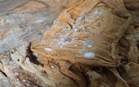 Kinh hãi, gần 2 tấn lòng lợn nấm mốc không rõ nguồn gốc xếp trong sân nhà dân